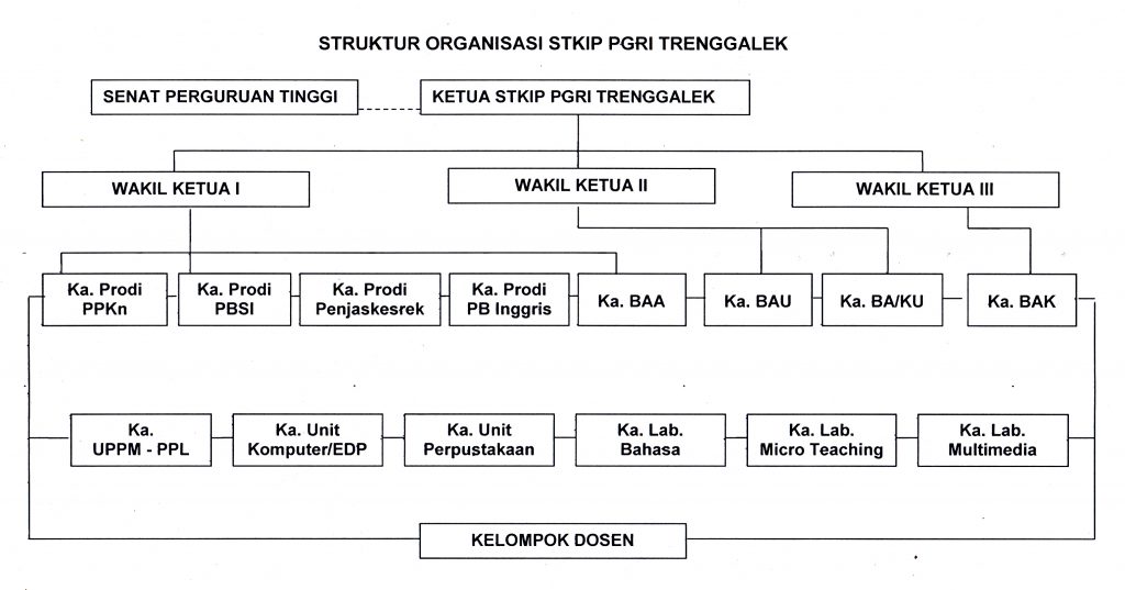 Struktur Organisasi Baru